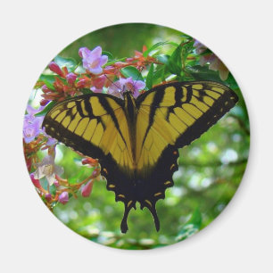 Aimant Couleurs été