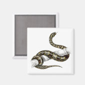 Aimant couleuvre à queue rouge vintage (Recto/Verso)