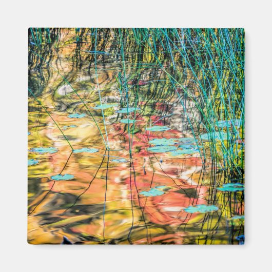 Aimant Council Lake in Hiawatha National Forest, Michigan (Devant)