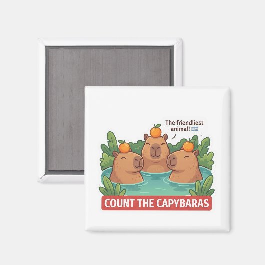 Aimant Count the Capybaras Animal World Quest for Toddler (Recto/Verso)