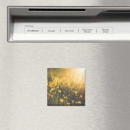 Aimant Coupe de beurre - Coucher du soleil (In Situ (Lave-vaisselle))