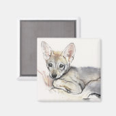 Aimant Coupe de loup d'Arabie de curling 2009 (Recto/Verso)