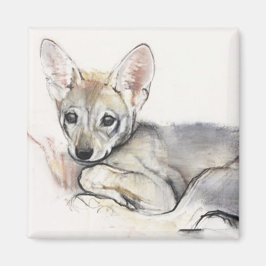 Aimant Coupe de loup d'Arabie de curling 2009 (Devant)