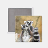 Aimant couple de lemur (Recto/Verso)