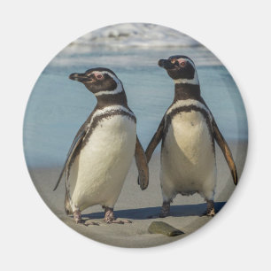 Aimant Couple de manchots sur la plage