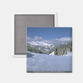 Aimant Courchevel, France, domicile de l'Arbre Valley (Recto/Verso)