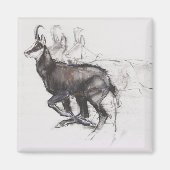 Aimant Coureur Chamois (Devant)