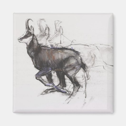 Aimant Coureur Chamois (Devant)