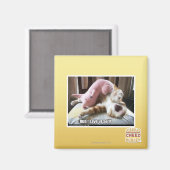 Aimant Courez ! Sauvez-vous ! (Recto/Verso)