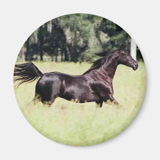 Aimant courir comme le vent (Devant)