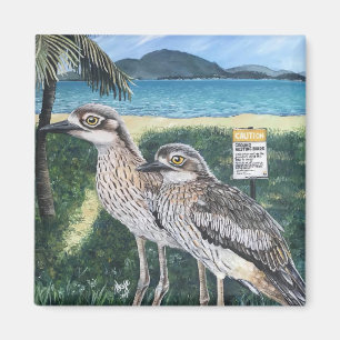 Aimant Courlis de Townsville Strand