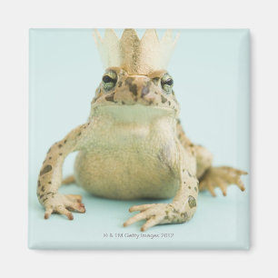 Aimant Couronne de port de grenouille