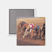 Aimant Course Greyhounds sur piste (Recto/Verso)