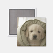 Aimant Coussin autour du chien (Recto/Verso)