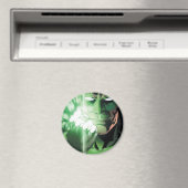 Aimant Couvercle rapproché de la lanterne verte (In Situ (Lave-vaisselle))