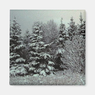 Aimant Couverture De L'Aimant À Neige