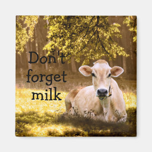 Aimant Cow de Jersey