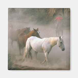 Aimant Cowboy avec des chevaux