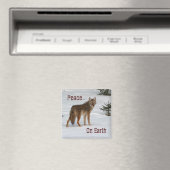 Aimant Coyote dans l'aimant de neige (In Situ (Lave-vaisselle))