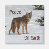 Aimant Coyote dans l'aimant de neige (Devant)