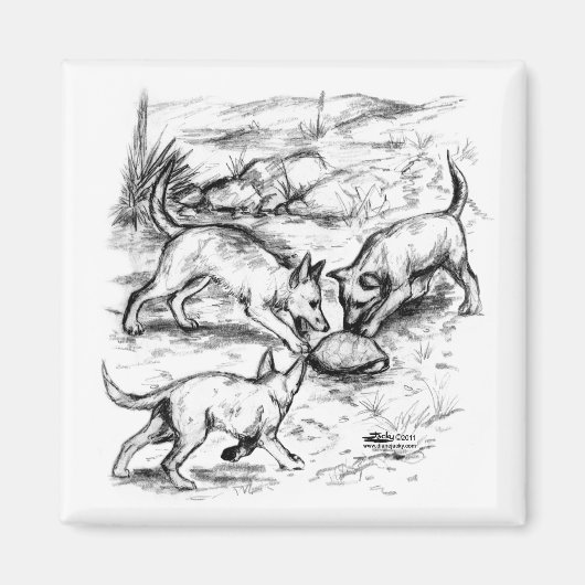 Aimant Coyote Pups (Devant)