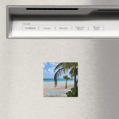 Aimant Cozumel Mexique (In Situ (Lave-vaisselle))