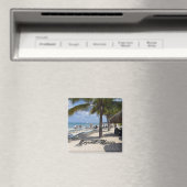 Aimant Cozumel, Mexique (In Situ (Lave-vaisselle))