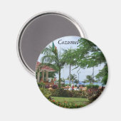 Aimant Cozumel Tropical Palm Tree (Recto/Verso)