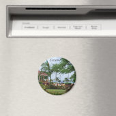 Aimant Cozumel Tropical Palm Tree (In Situ (Lave-vaisselle))