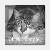 Aimant Crabby Cat, "Oh non, les gens." (Devant)
