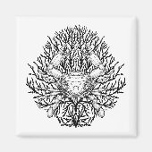 Aimant Crabe (Devant)