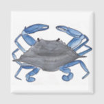 Aimant Crabe bleu<br><div class="desc">On trouve des crabes bleus partout dans l'Atlantique côtier. Ils se nourrissent de détritus et sont prisés pour leur viande savoureuse.</div>