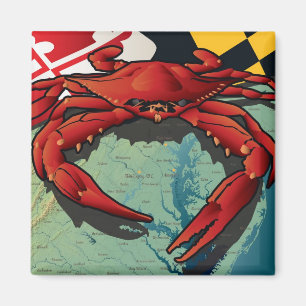 Aimant Crabe de citoyen du Maryland