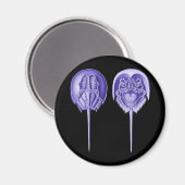 Aimant Crabe du fer à cheval (Recto/Verso)