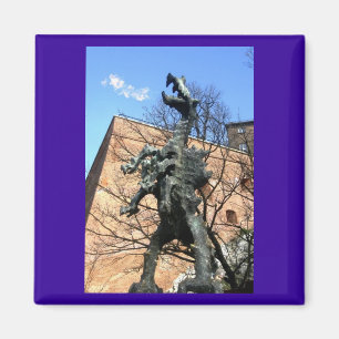 Aimant Cracovie, Pologne