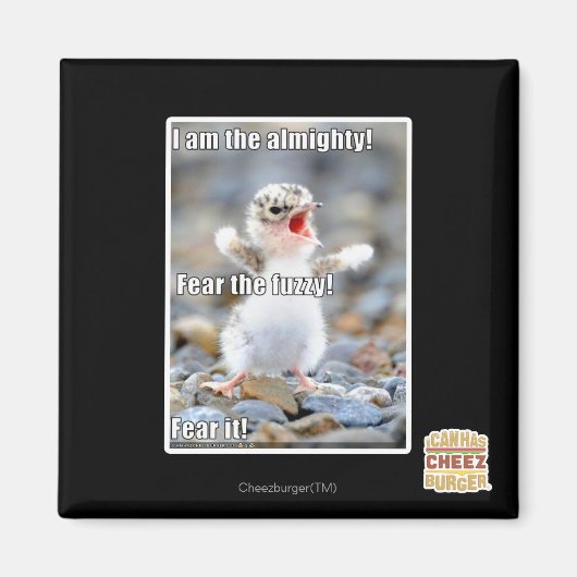 Aimant Craignez le Fuzzy ! (Devant)