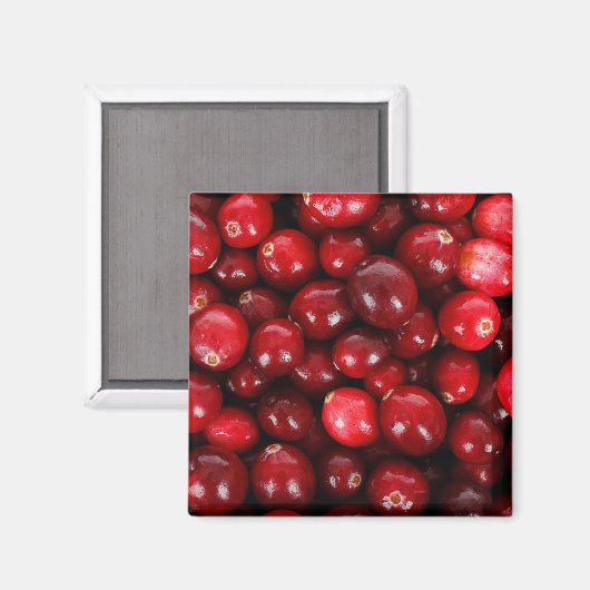 Aimant Cranberry (Recto/Verso)