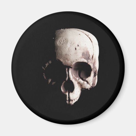 Aimant Crâne (Devant)
