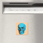 Aimant Crâne d'anatomie humaine (In Situ (Lave-vaisselle))
