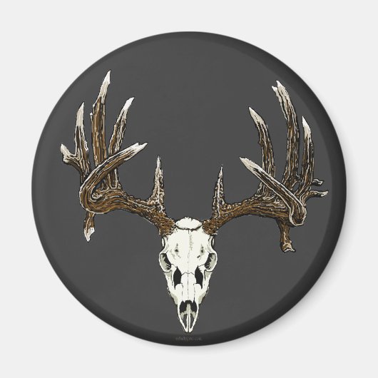 Aimant Crâne de cerf blanc 1 (Devant)