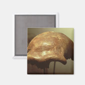 Aimant Crâne d'un Néandertal (Recto/Verso)