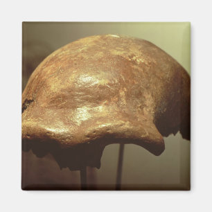 Aimant Crâne d'un Neanderthal