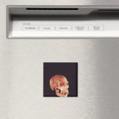 Aimant Crâne Neandertal, découvert sur Mt Carmel (In Situ (Lave-vaisselle))