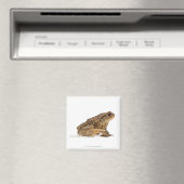 Aimant Crapaud commun ou crapaud européen (Bufo bufo) pis (In Situ (Lave-vaisselle))