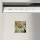 Aimant Crapaud minuscule (In Situ (Lave-vaisselle))