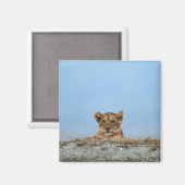 Aimant Cratère de Ngorongoro, Tanzanie (Recto/Verso)