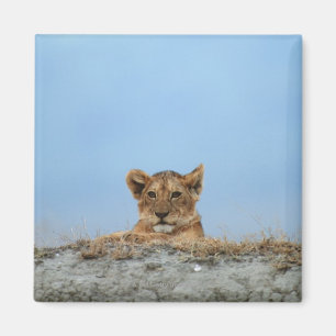 Aimant Cratère de Ngorongoro, Tanzanie