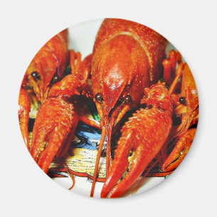 Aimant Crawfish Crawdads Éclair