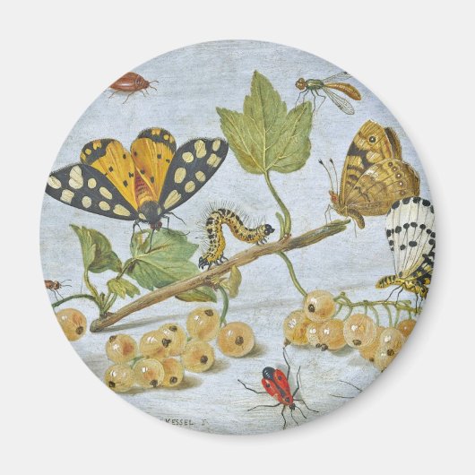 Aimant Crawling d'insectes (Devant)