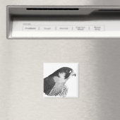 Aimant Crayon de faucon pèlerin (In Situ (Lave-vaisselle))